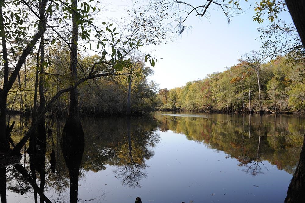 Center Rd. Georgetown, SC 29440