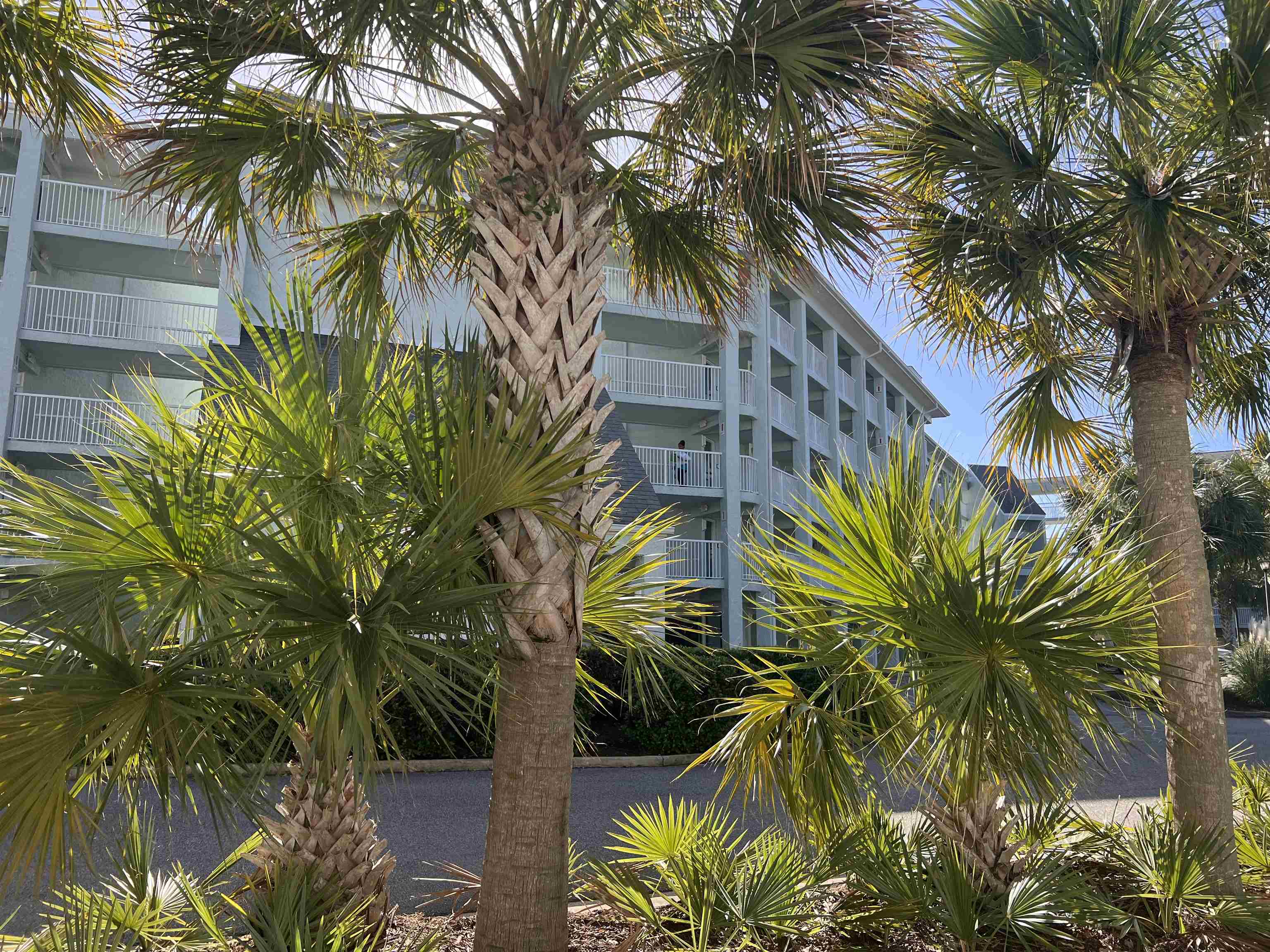 14290 Ocean Highway Unit #107 Pawleys Island, SC 29585