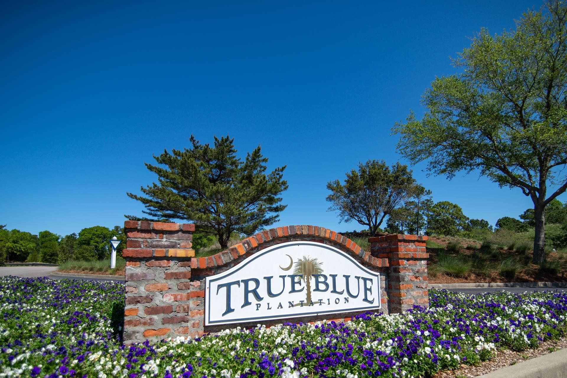 True Blue 1 in Pawleys Island 3 Beds Condo/townhouse For Sale