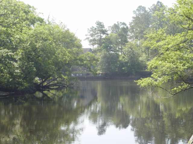 Lot 9 Rowe Pond Rd. Conway, SC 29526