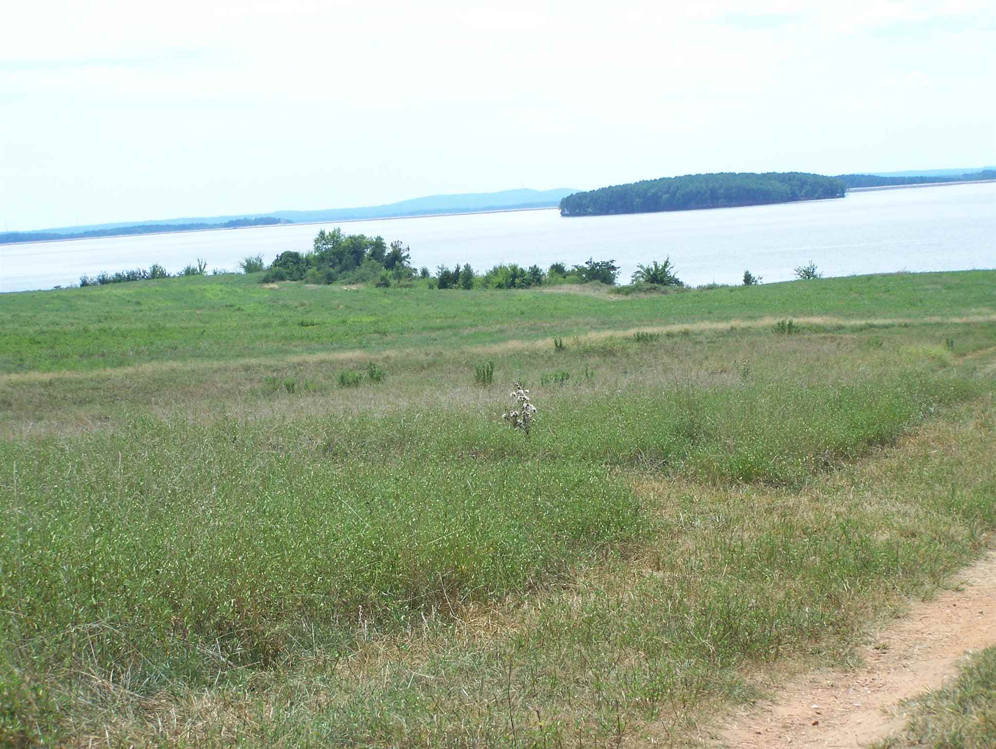 Lake Monticello Real Estate