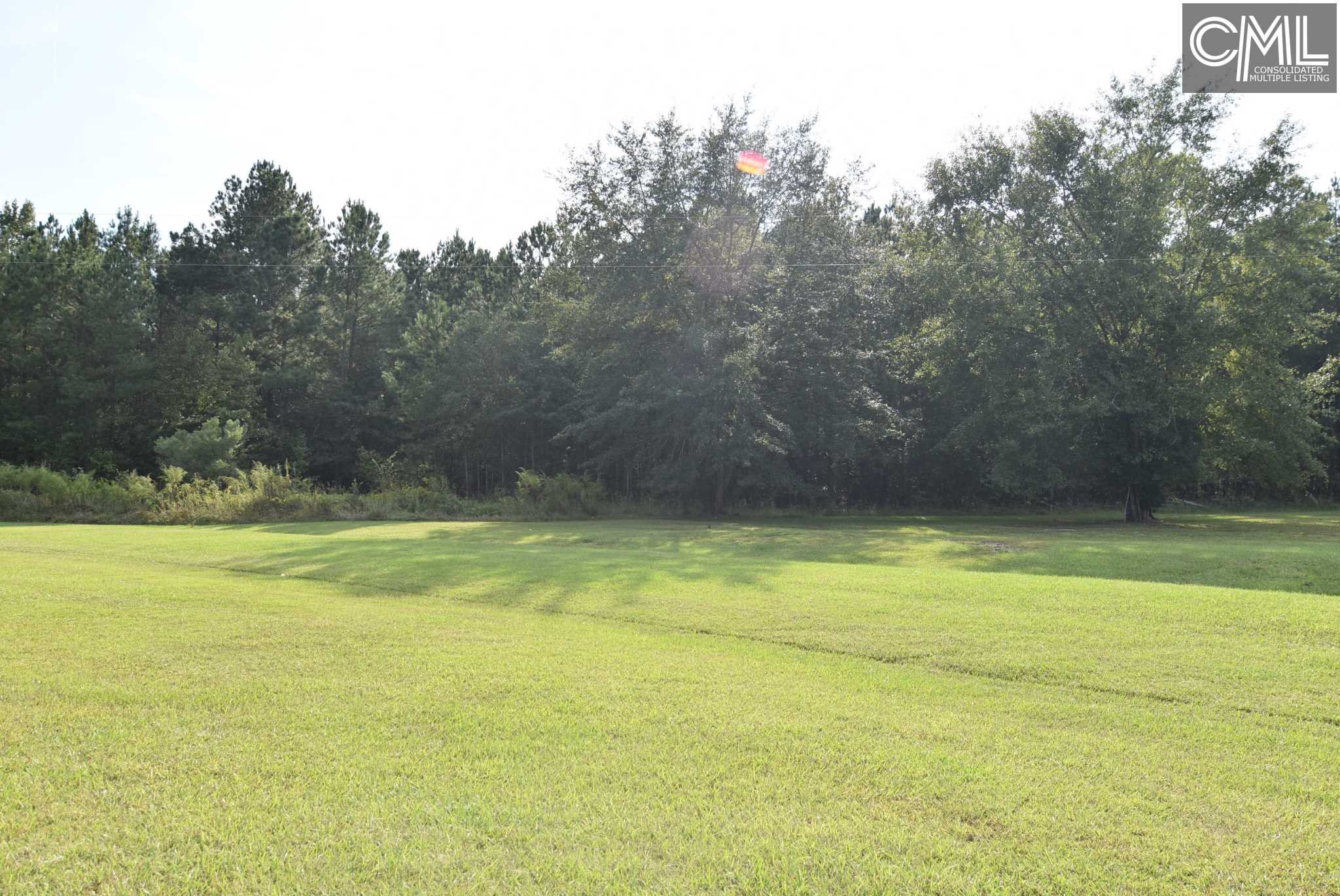 Rosa Lee Hopkins, SC 29061