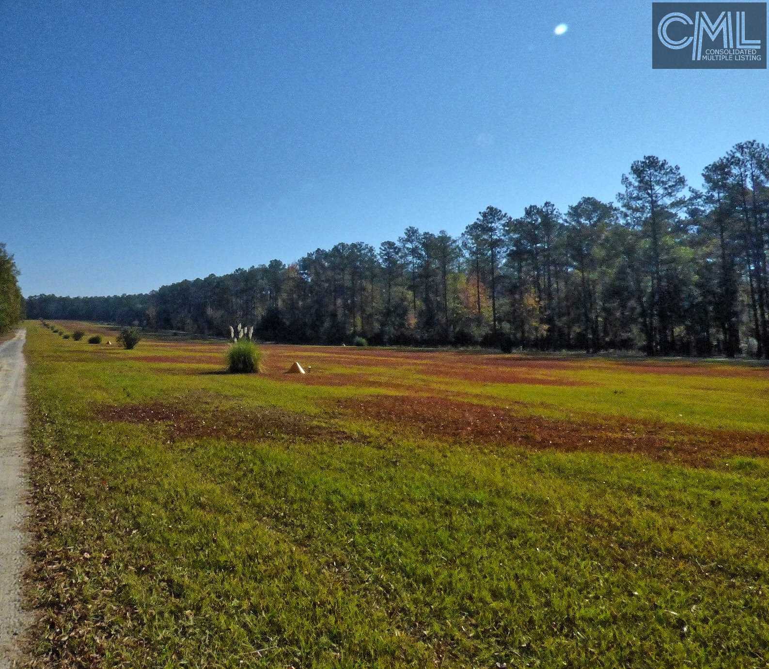 Rembert SC Real Estate 417 Swift Creek Rembert SC 29128 MLS 413585