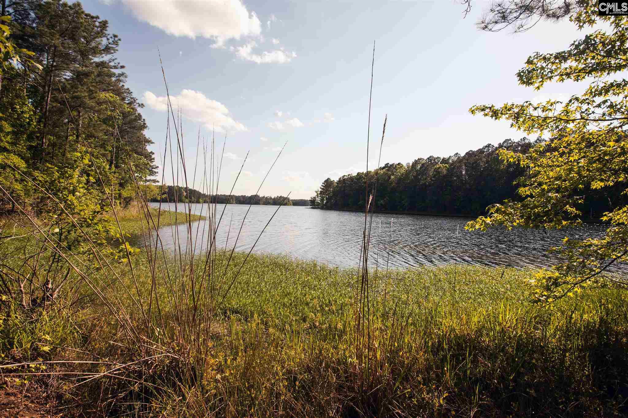 Lake Monticello Real Estate