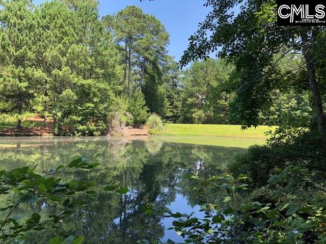 200 Treyburn #137 Irmo, SC 29063
