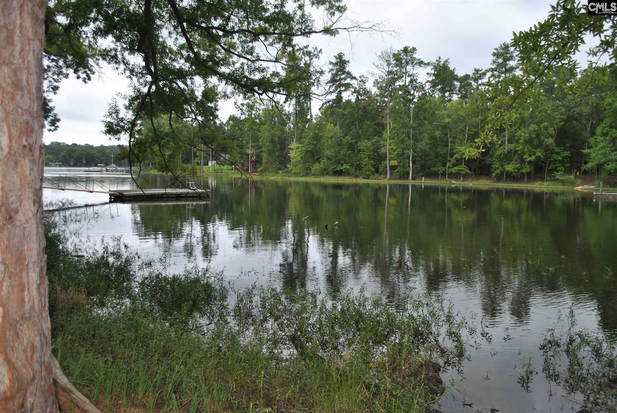 Indian Creek Chapin, SC 29036