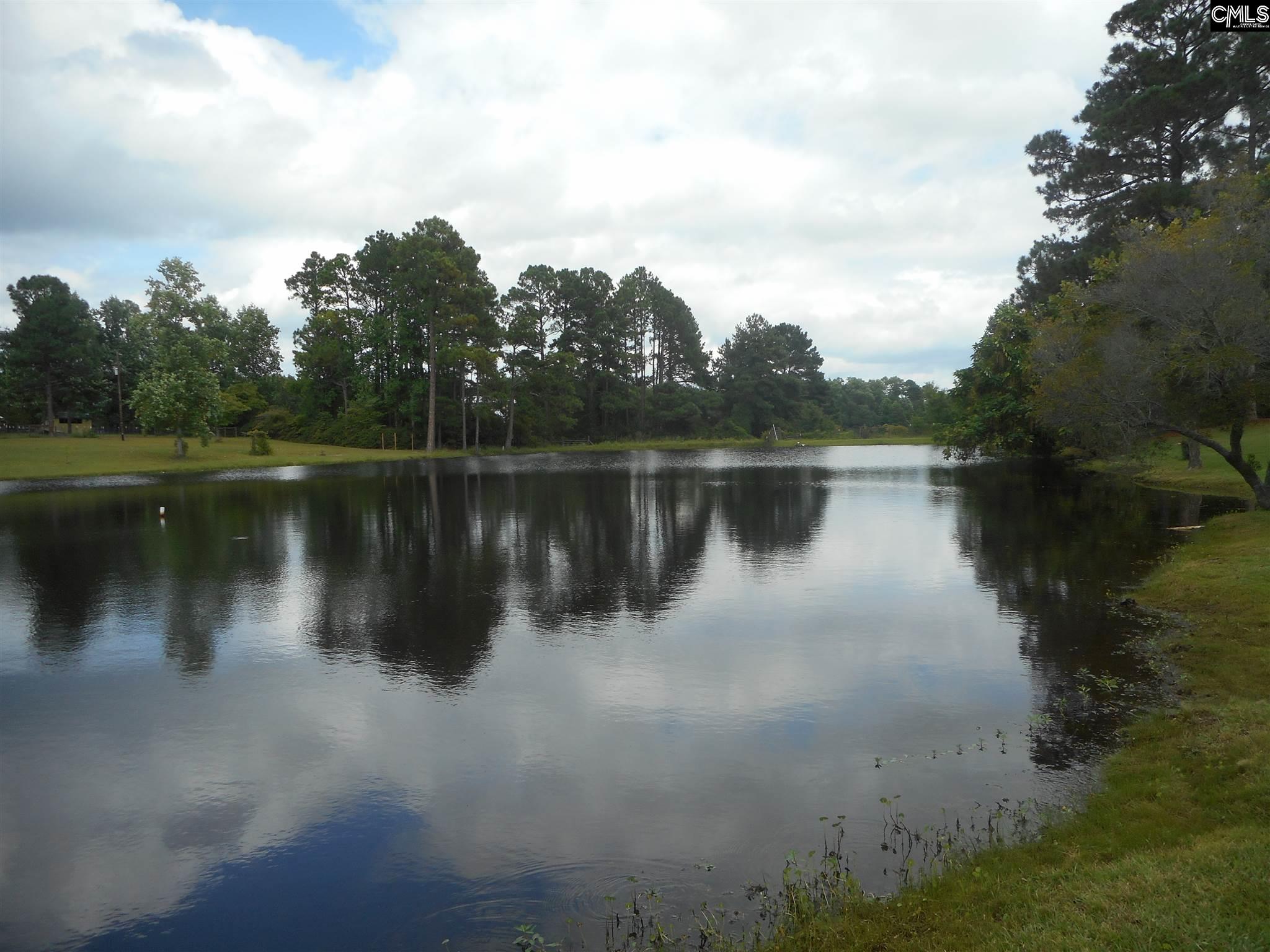 521 Rimer Pond Blythewood, SC 29016-9156