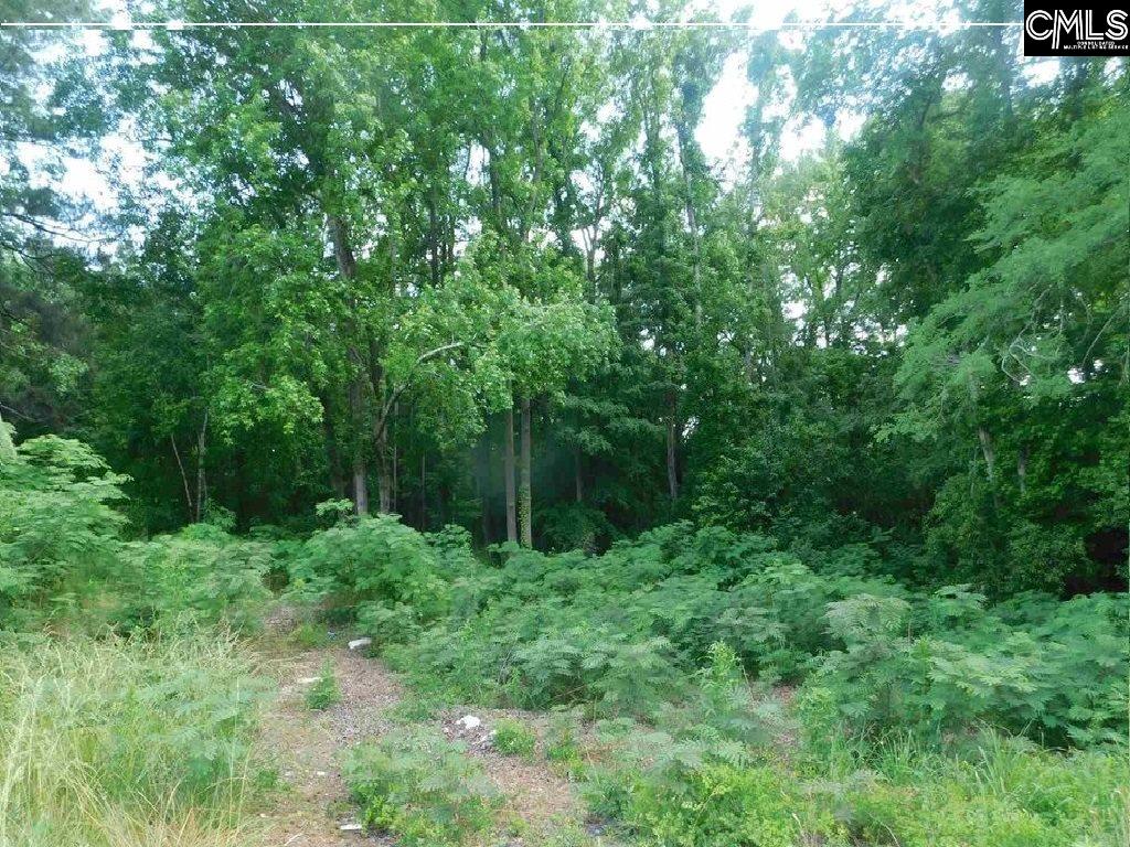 108 Scioto Columbia, SC 29203