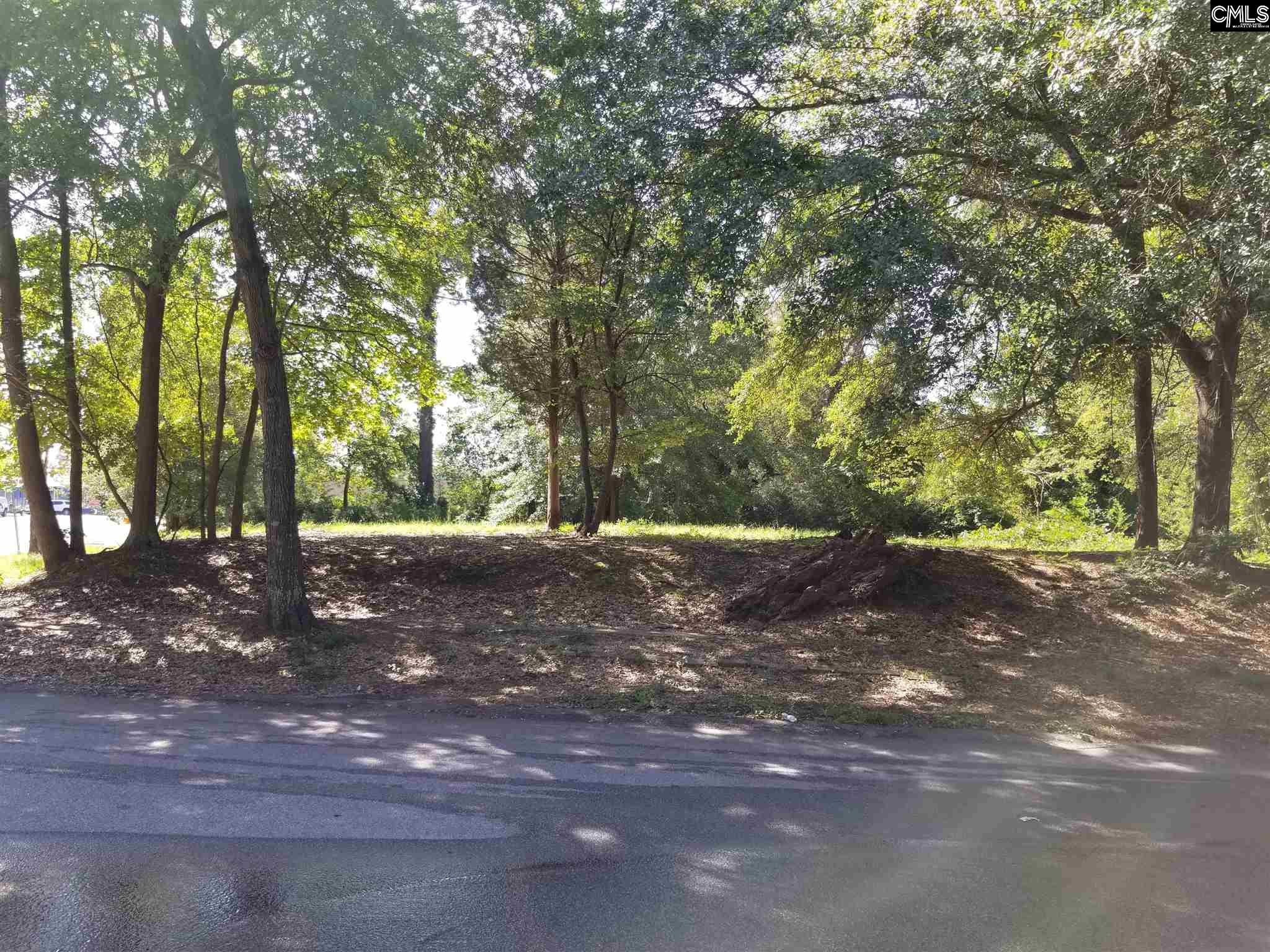 1110 Byrd #12345 Columbia, SC 29201