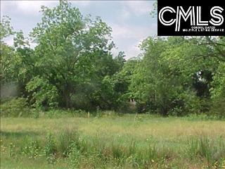 Hwy #1 Gilbert, SC 29054