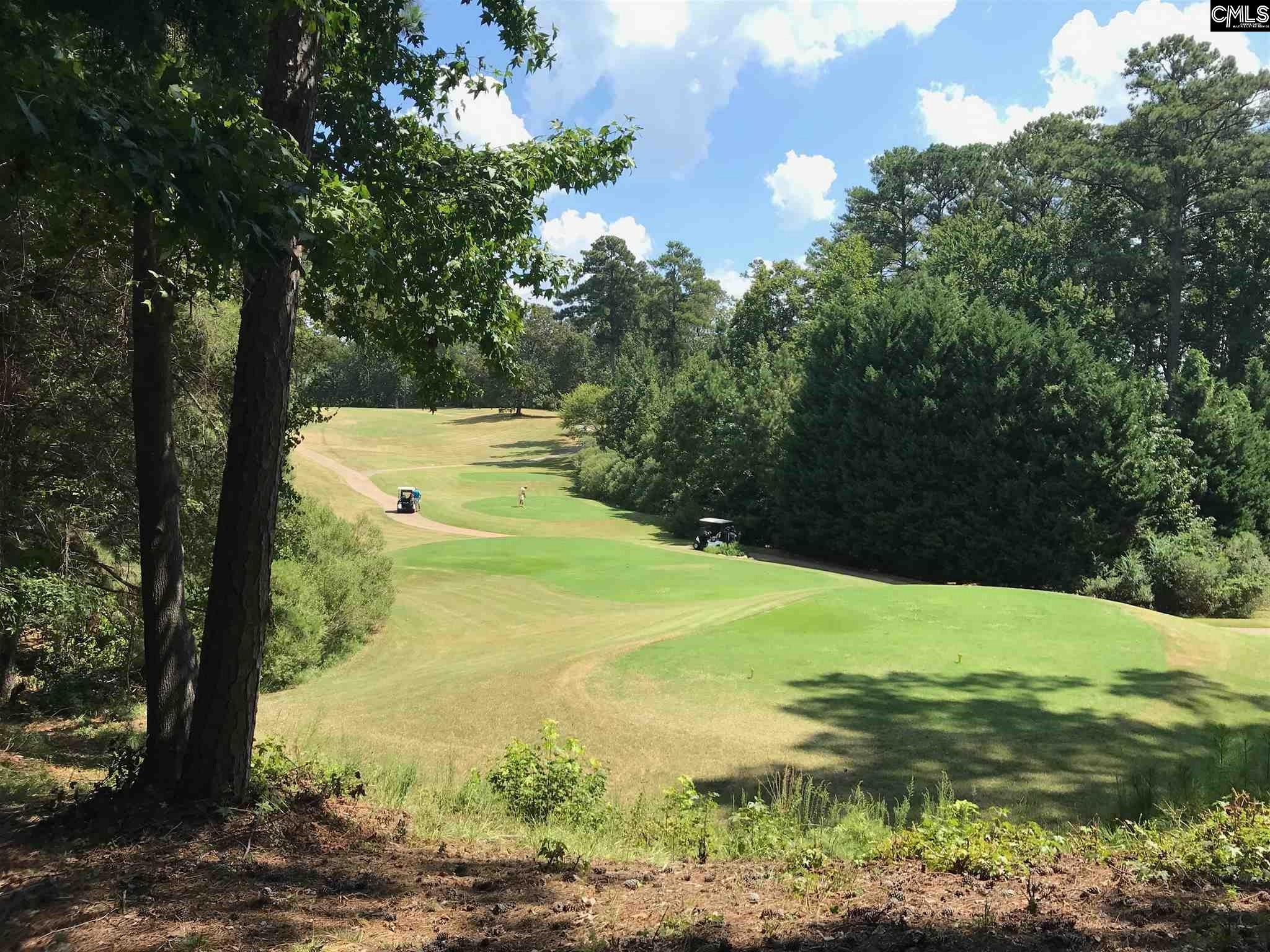226 Fairway Ridge Chapin, SC 29036