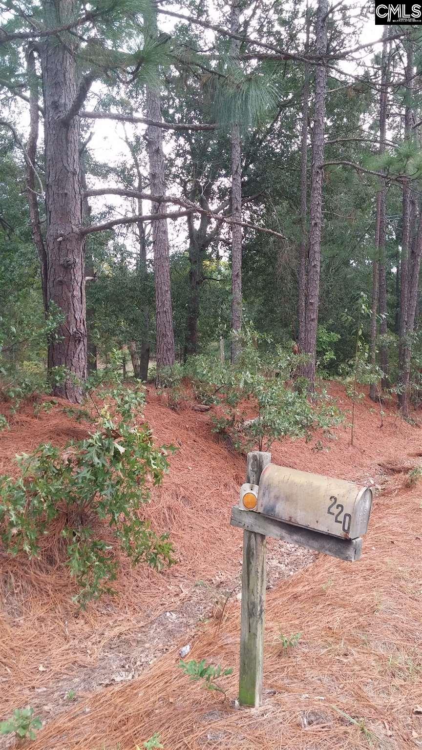 220 S Carlisle Gaston, SC 29053