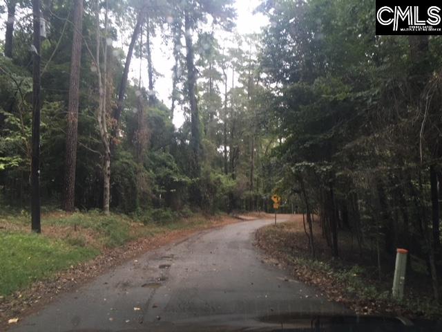 Chicorana #lot 3 West Columbia, SC 29169