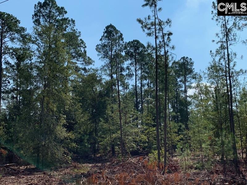 Martin Smith #tract 3 Gilbert, SC 29054