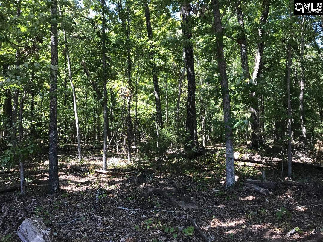 1348 Dreher Island Chapin, SC 29036