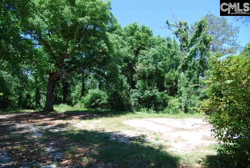 201 Roberts Lexington, SC 29072
