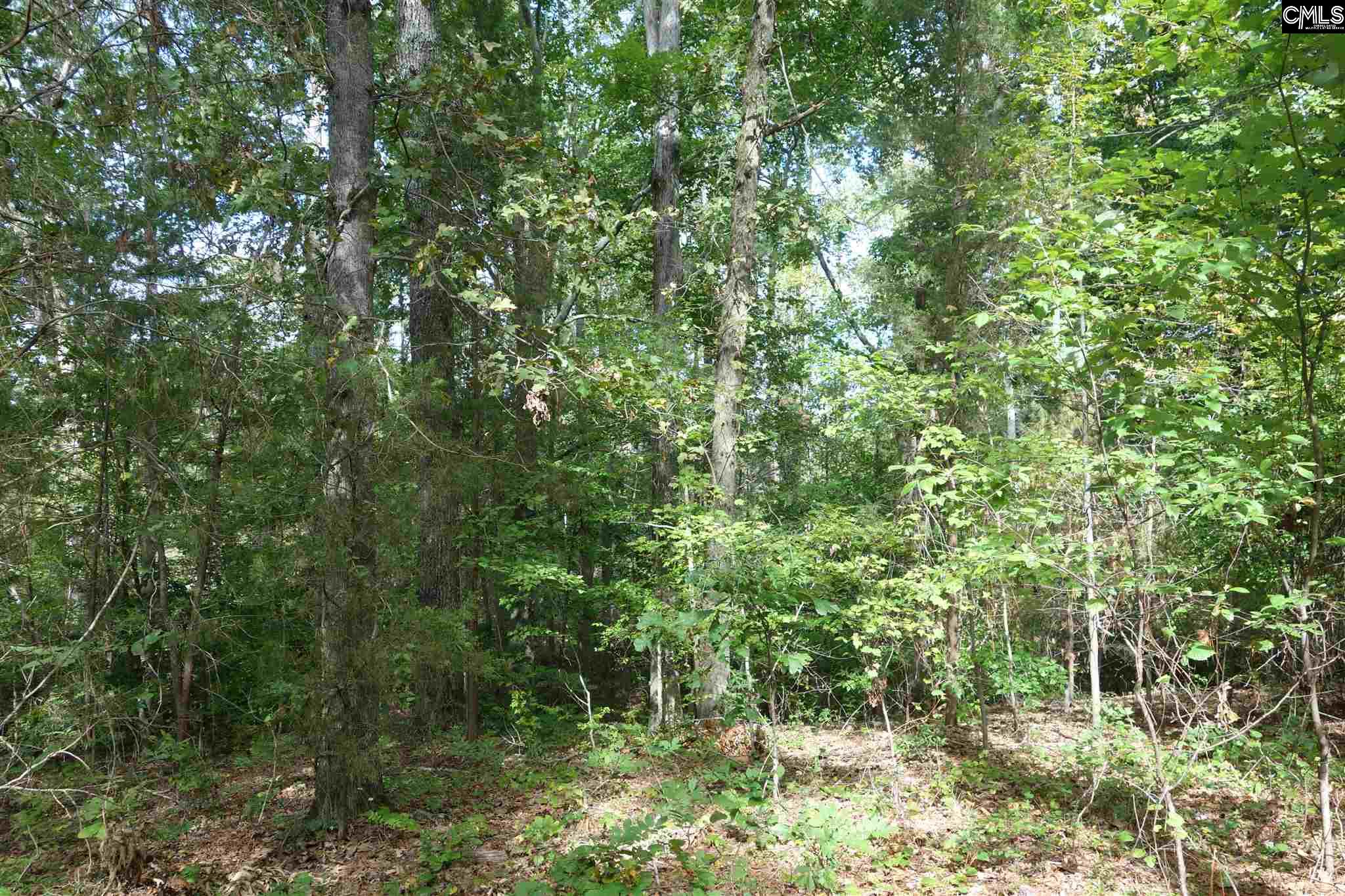869 Corley Mill Lexington, SC 29072