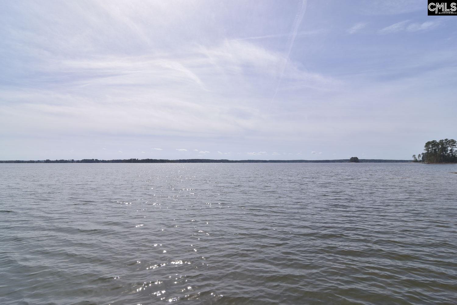 17 Spinnaker Pointe Chapin, SC 29036