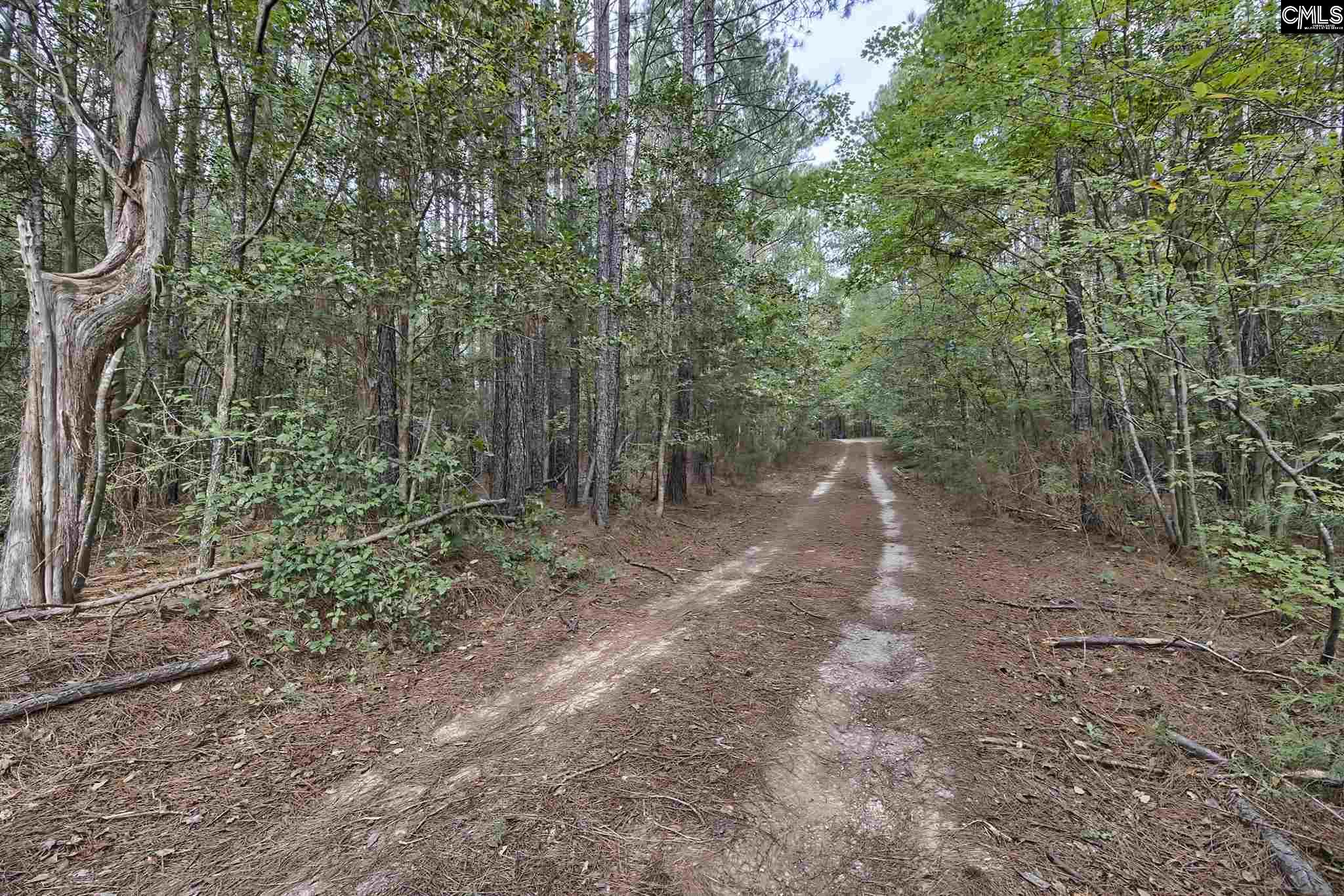 121 Ken Webber Irmo, SC 29063-9743