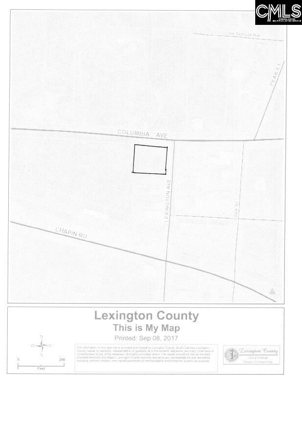101 Lexington Chapin, SC 29036