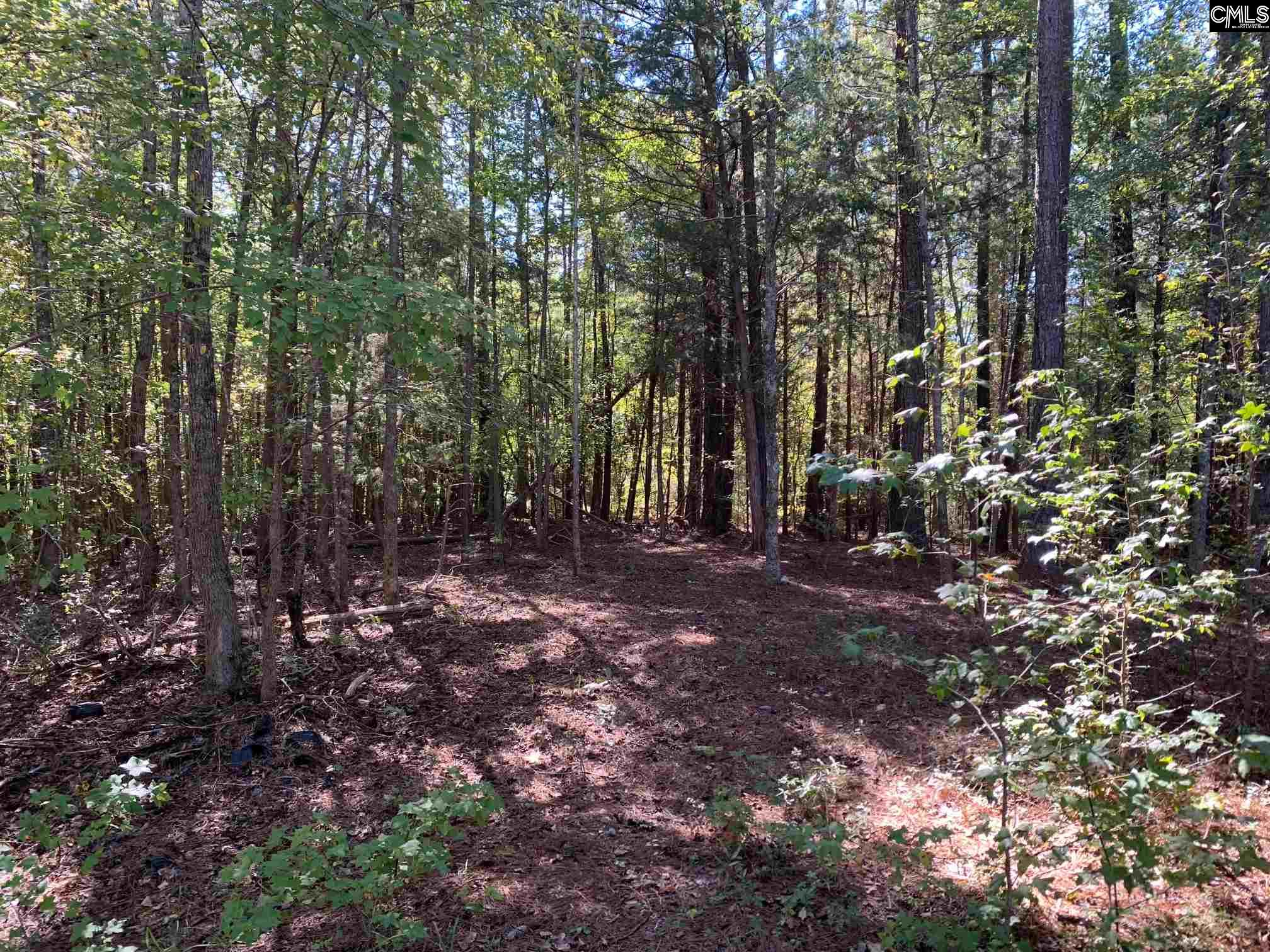 248 Old Shealy Chapin, SC 29036