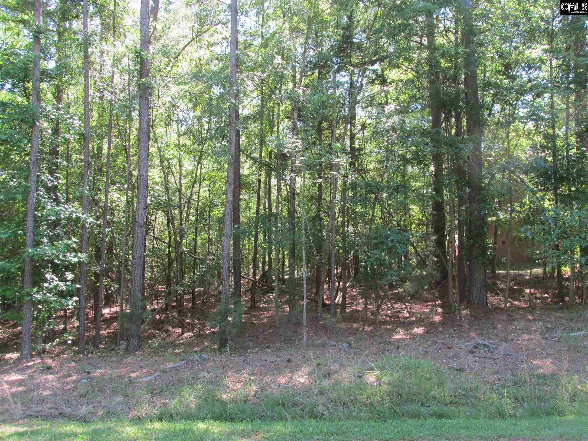 2224 Island Chapin, SC 29036