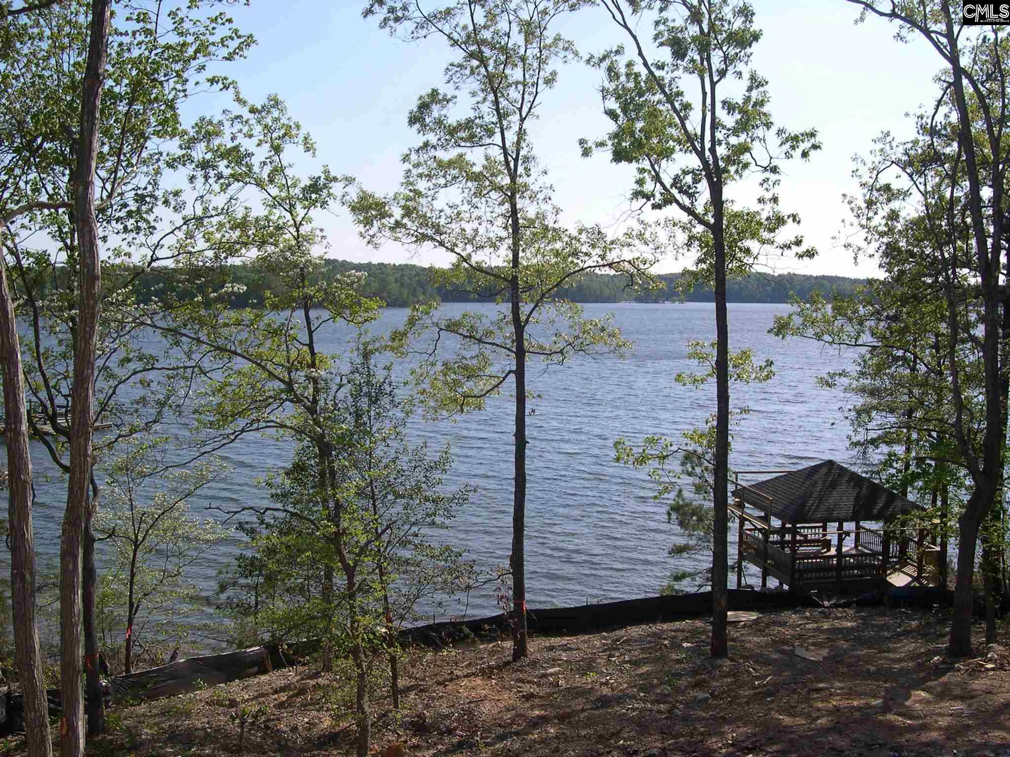469 Wood Willow #3 Chapin, SC 29036