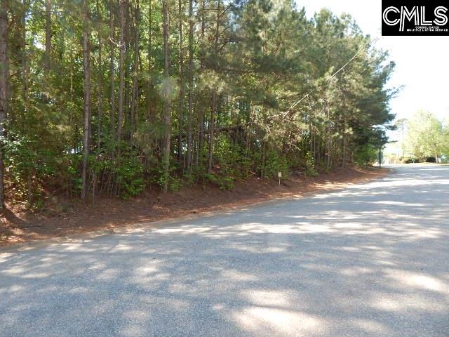 110 Lake Summit Chapin, SC 29036
