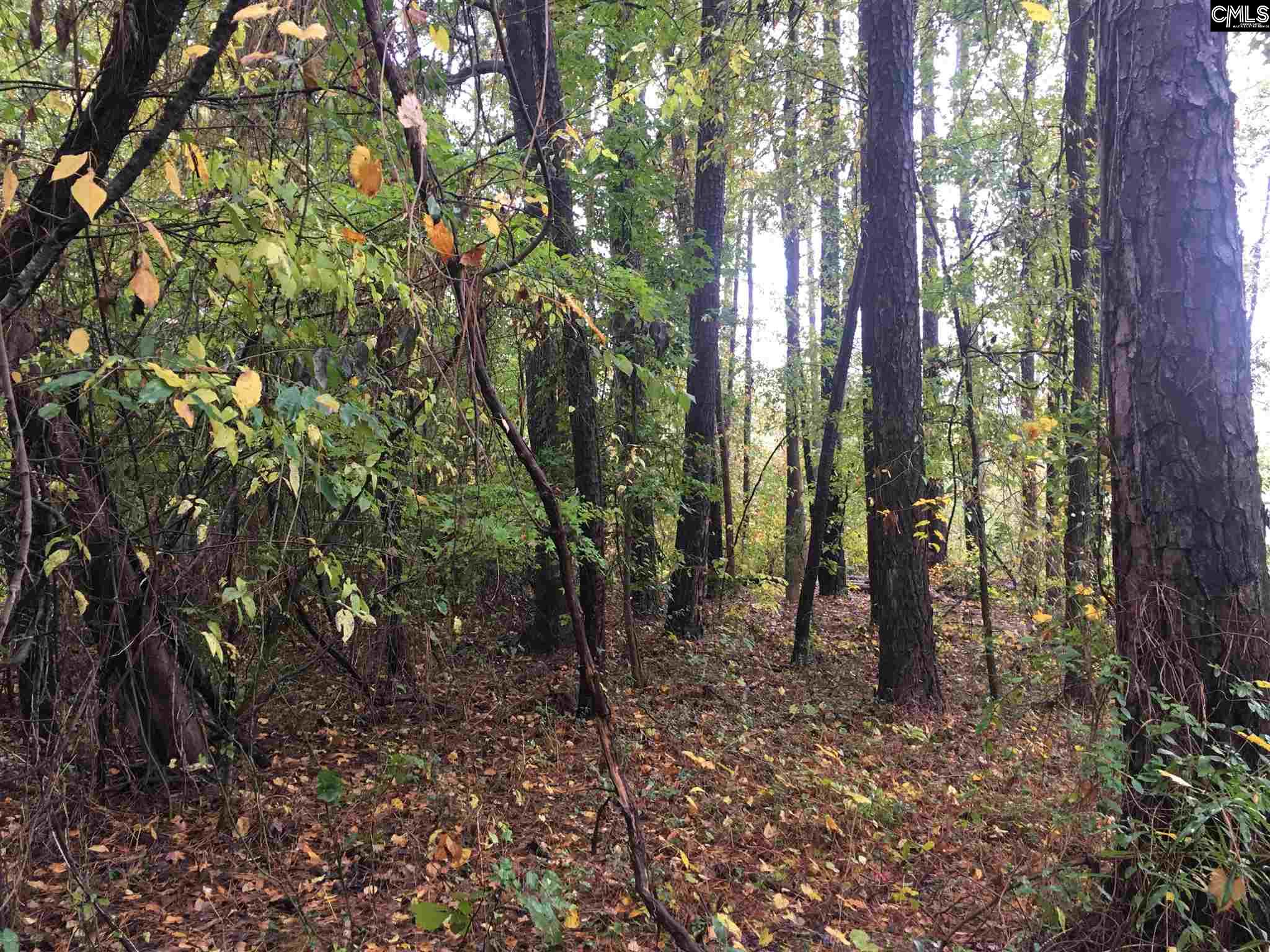 Aiken Leesville, SC 29070