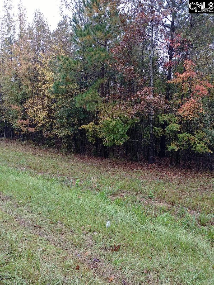 Tbd Hwy 321 And Cowhorn Blythewood, SC 29016