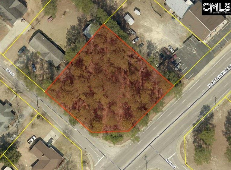Platt Springs West Columbia, SC 29169