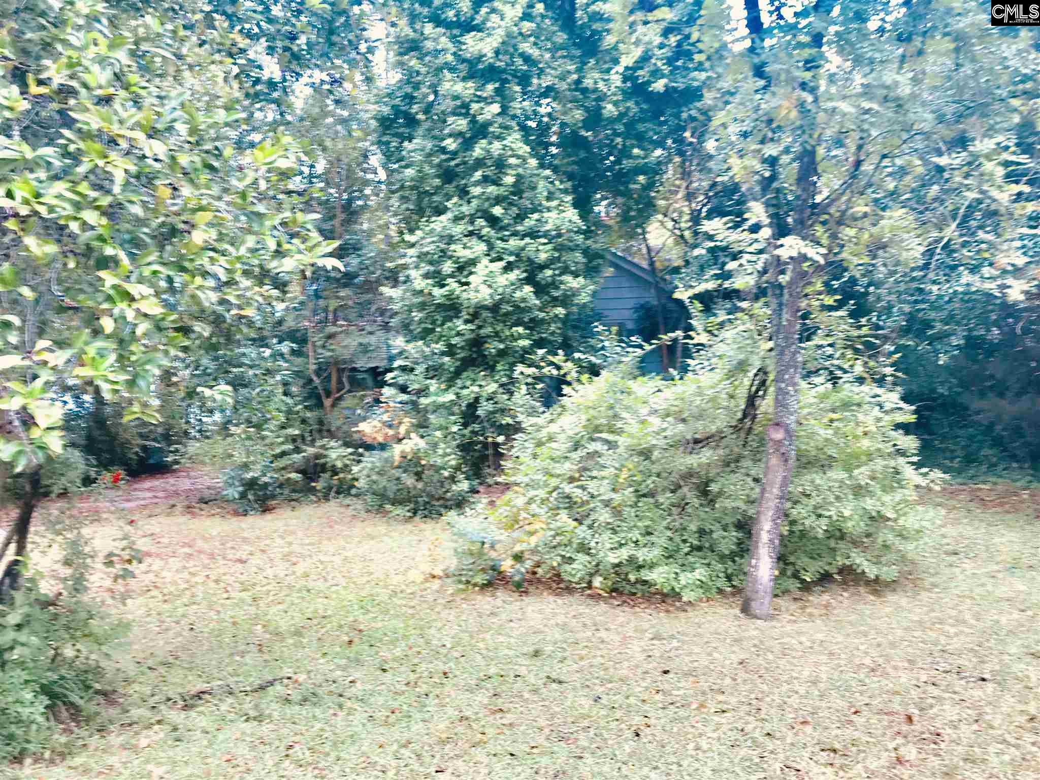 704 Buckingham Columbia, SC 29205