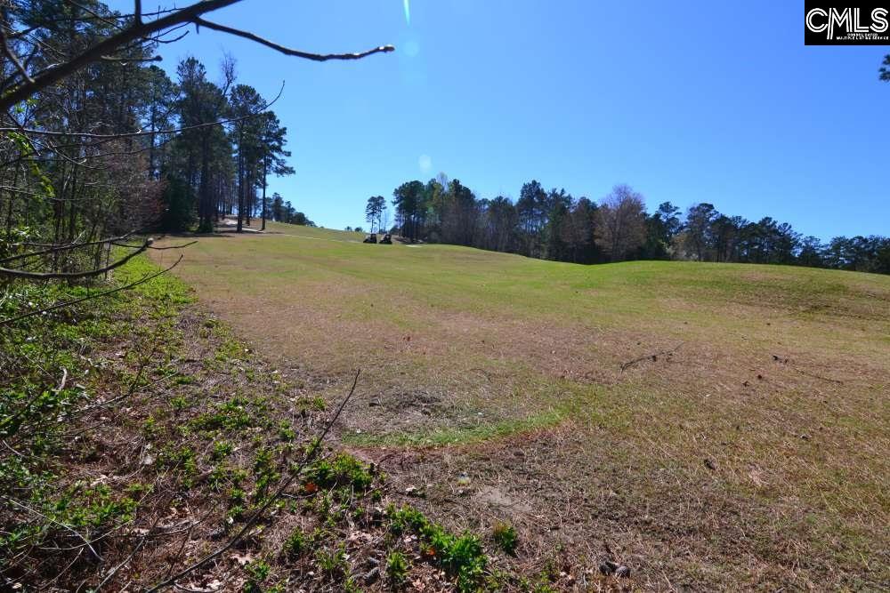 177 Peppermint Blythewood, SC 29016