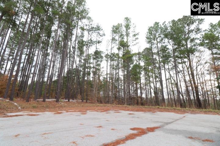 31 Salters Hopkins, SC 29061