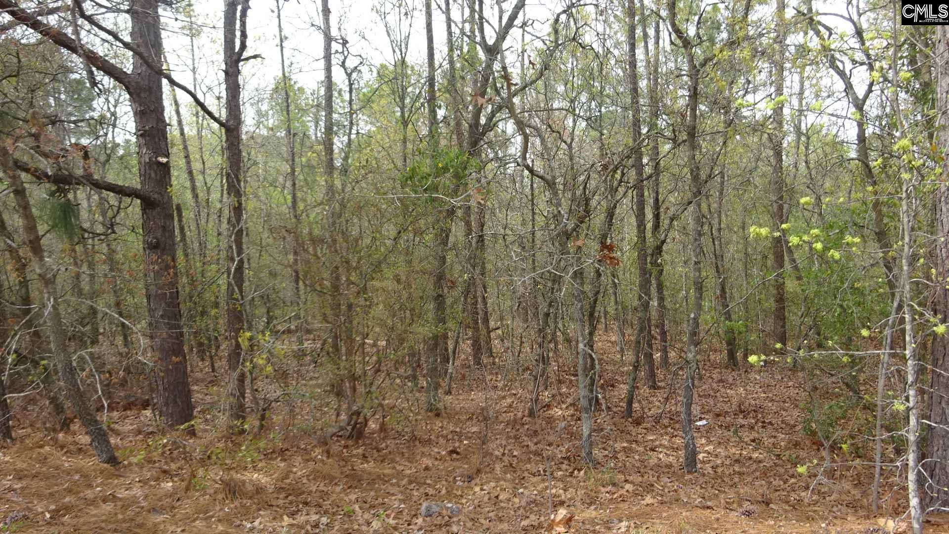 Columbia SC Real Estate 624 Valhalla Columbia SC 29229 MLS 461297