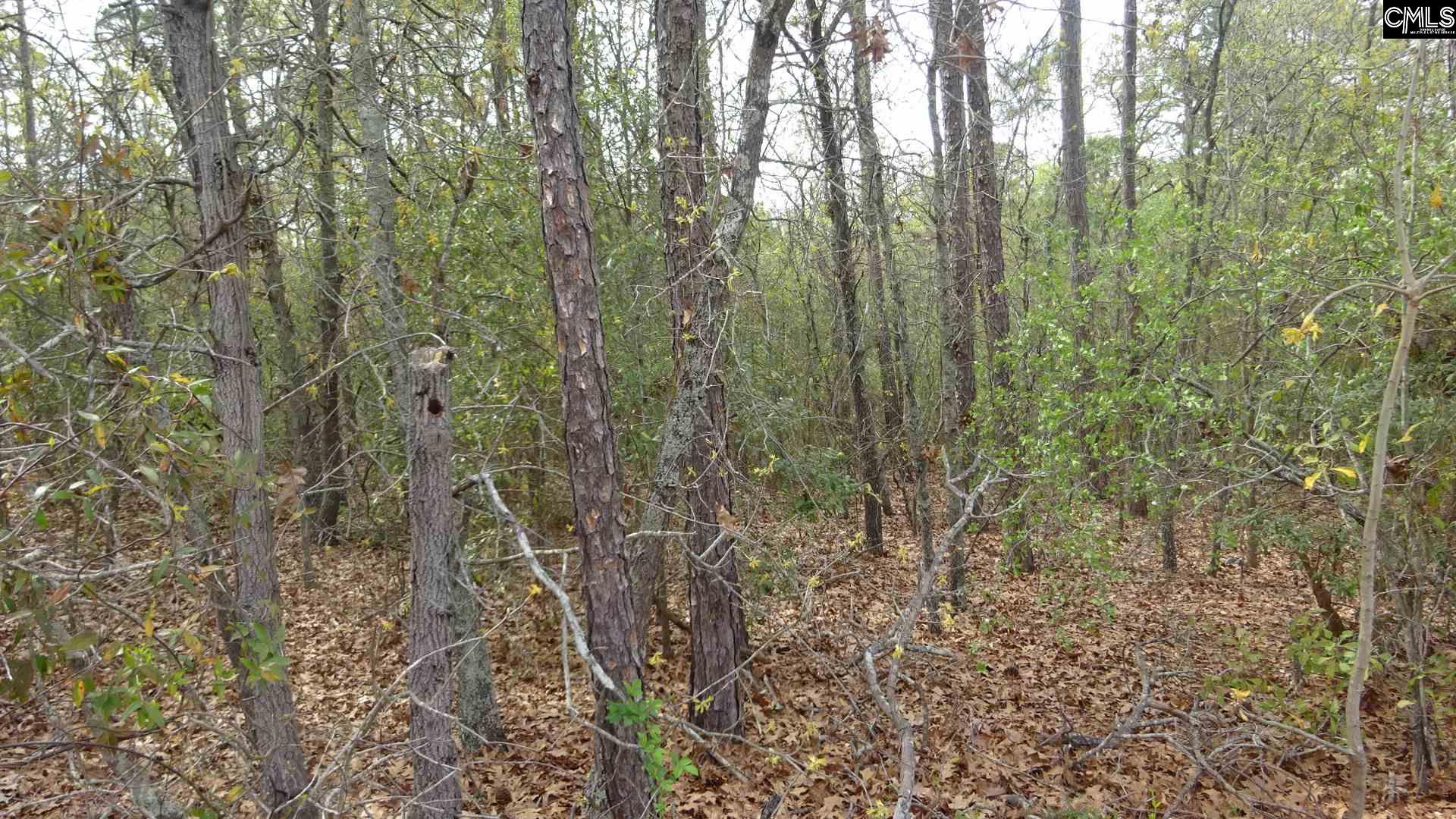 620 Valhalla Columbia, SC 29229
