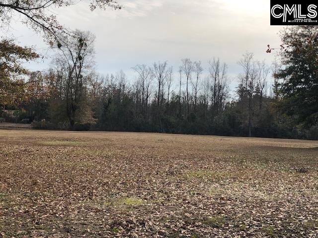 Ashley Leesville, SC 29070