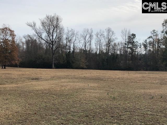 Ashley Leesville, SC 29070