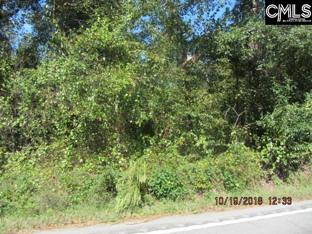 Martin L King Hopkins, SC 29061
