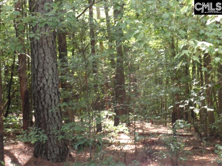 749 Amicks Ferry Chapin, SC 29036