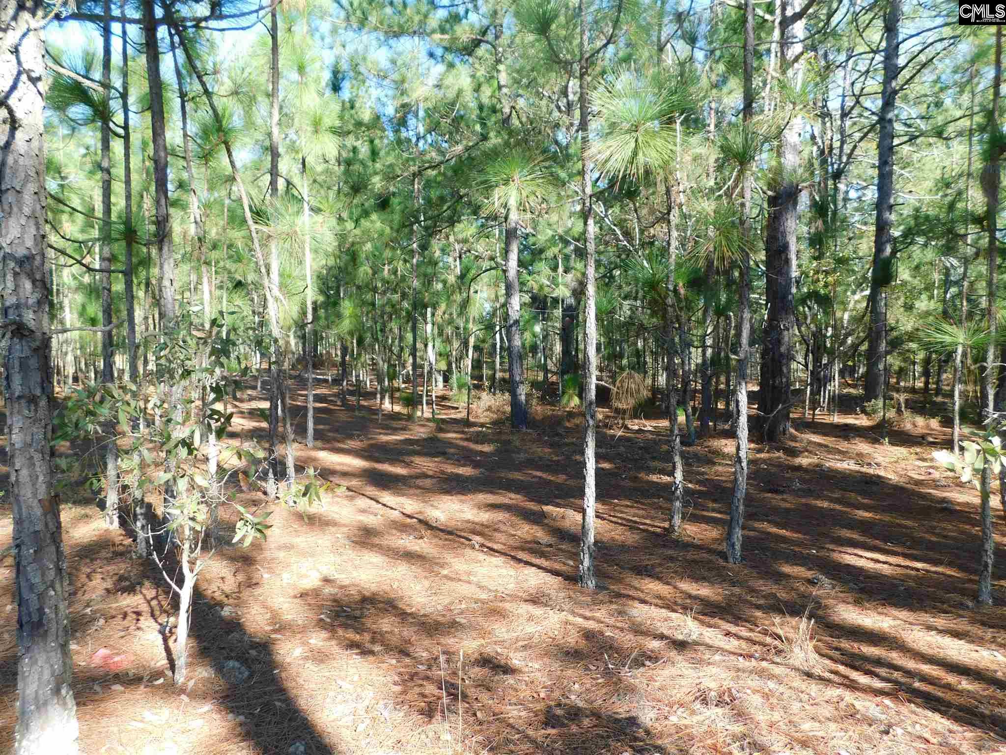 Felix Leesville, SC 29070