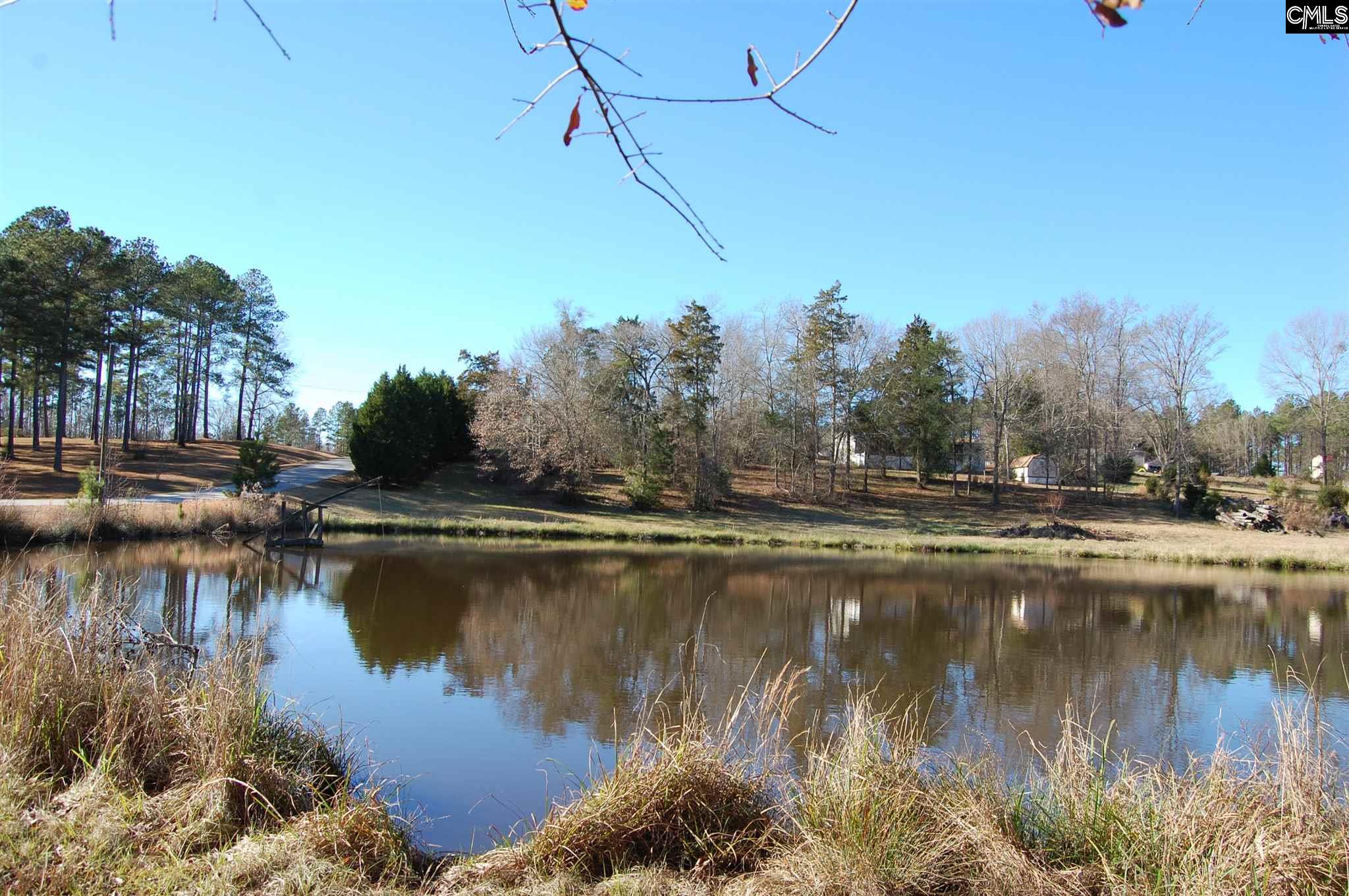 89 Deer Stand Prosperity, SC 29127
