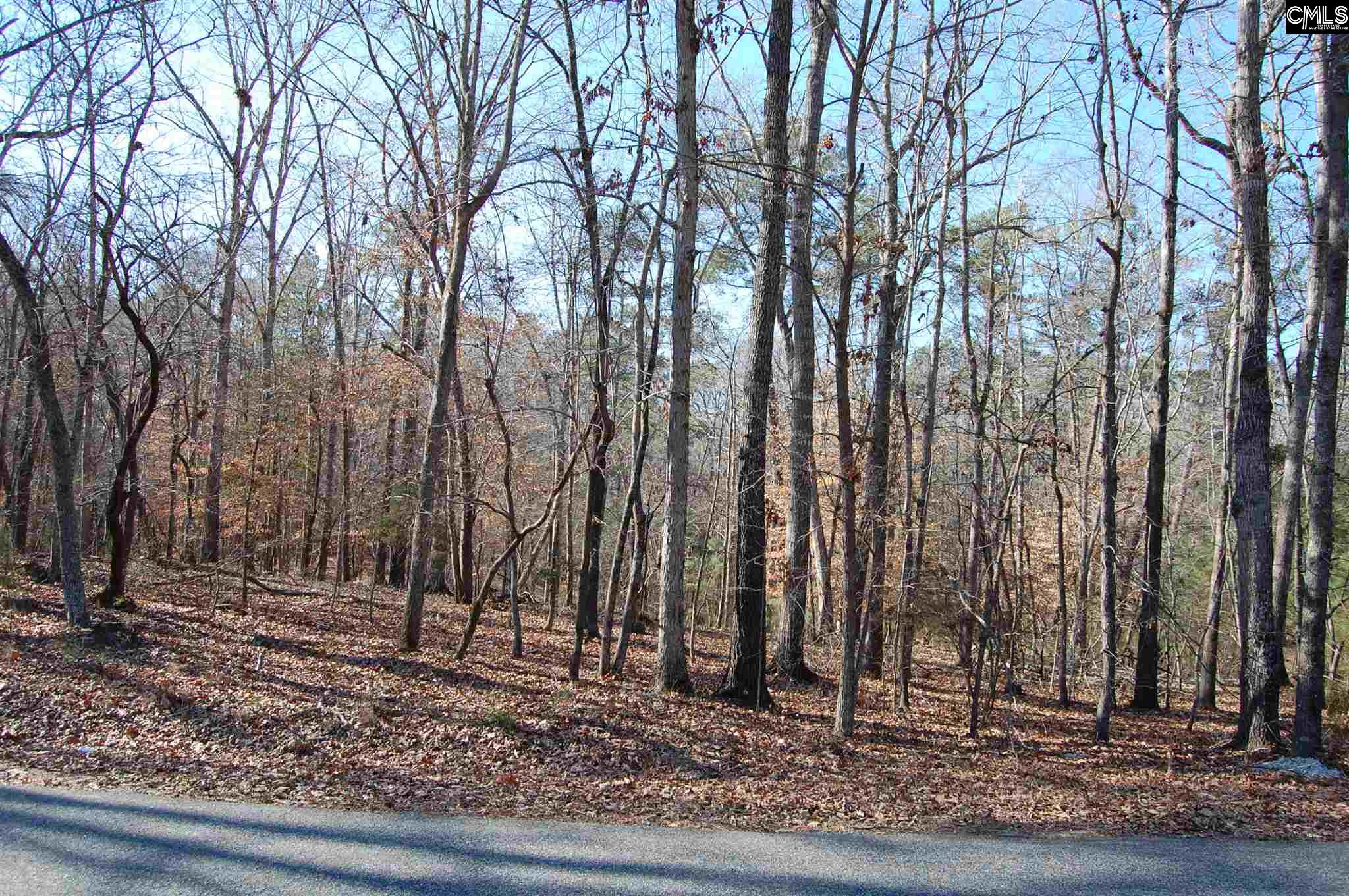 Forest Shores Prosperity, SC 29127
