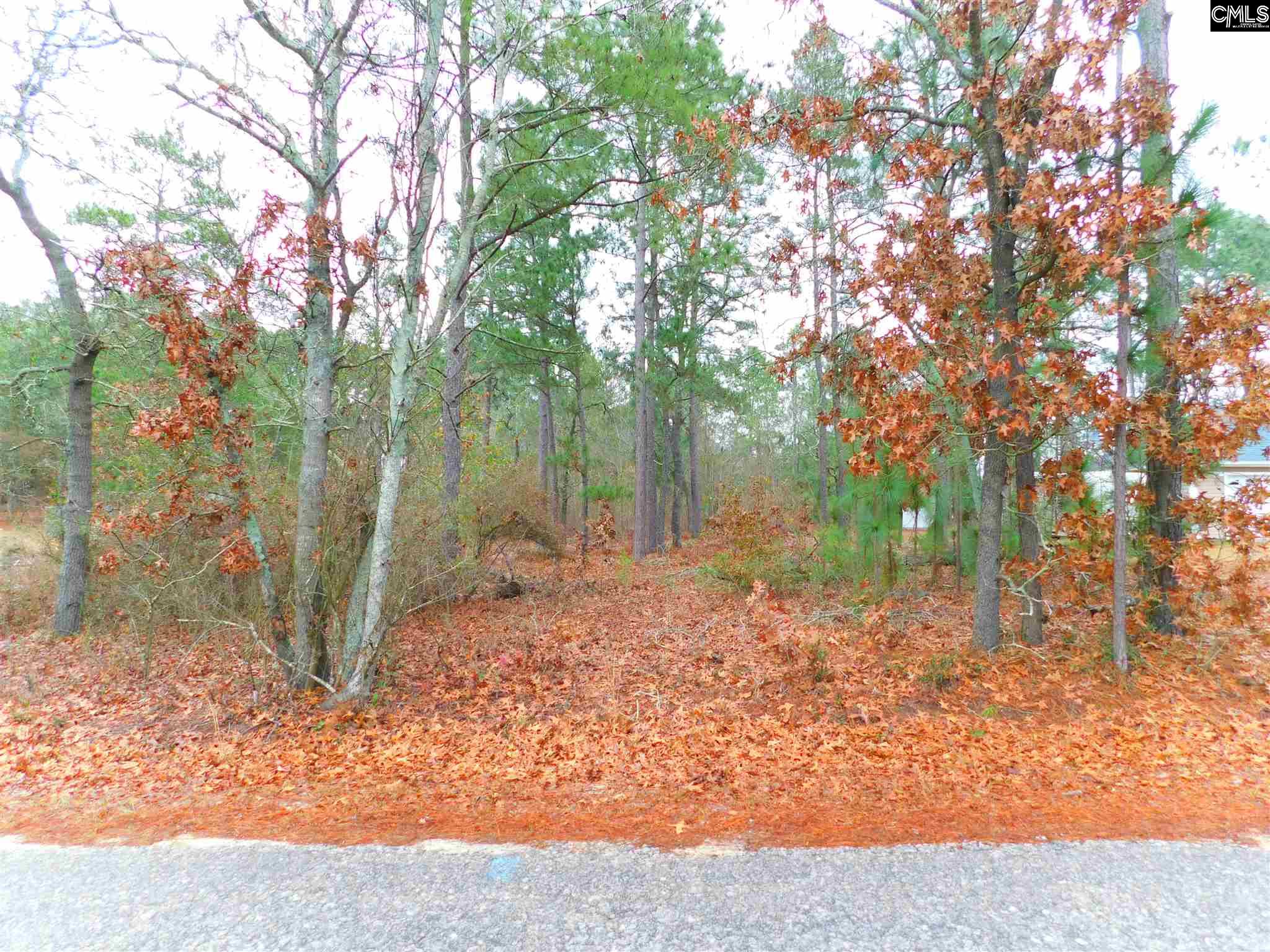 370 Bethlehem Leesville, SC 29070
