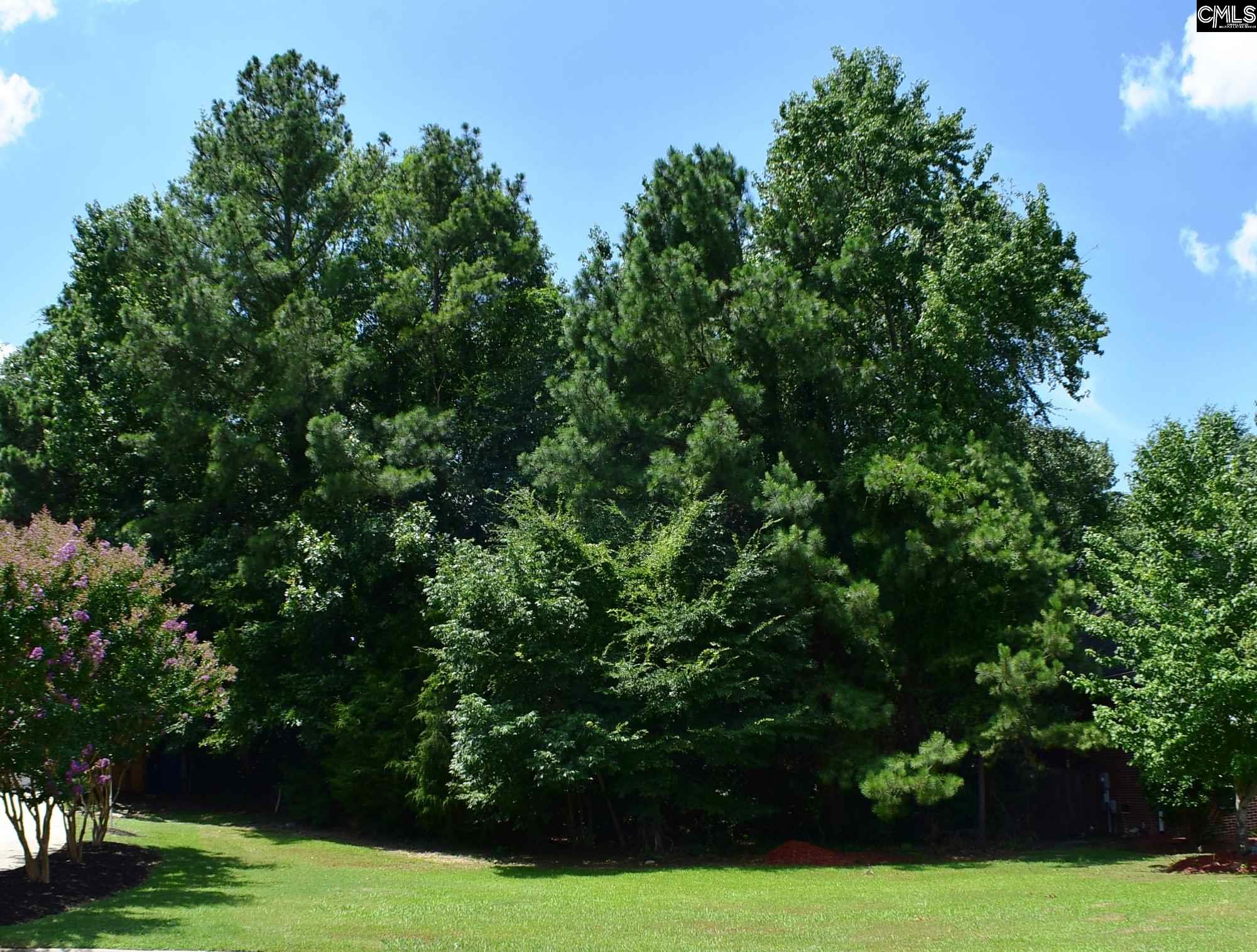 8 Hickory Hall Irmo, SC 29063