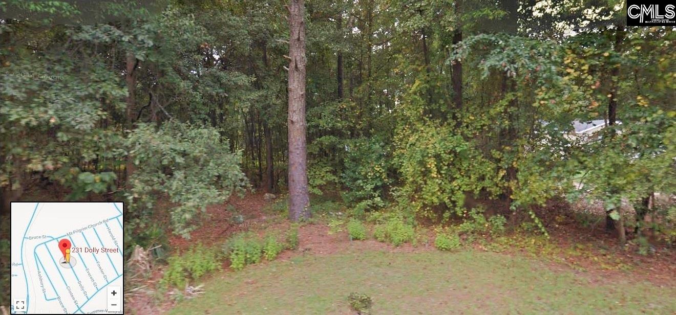 231 Dolly Columbia, SC 29223