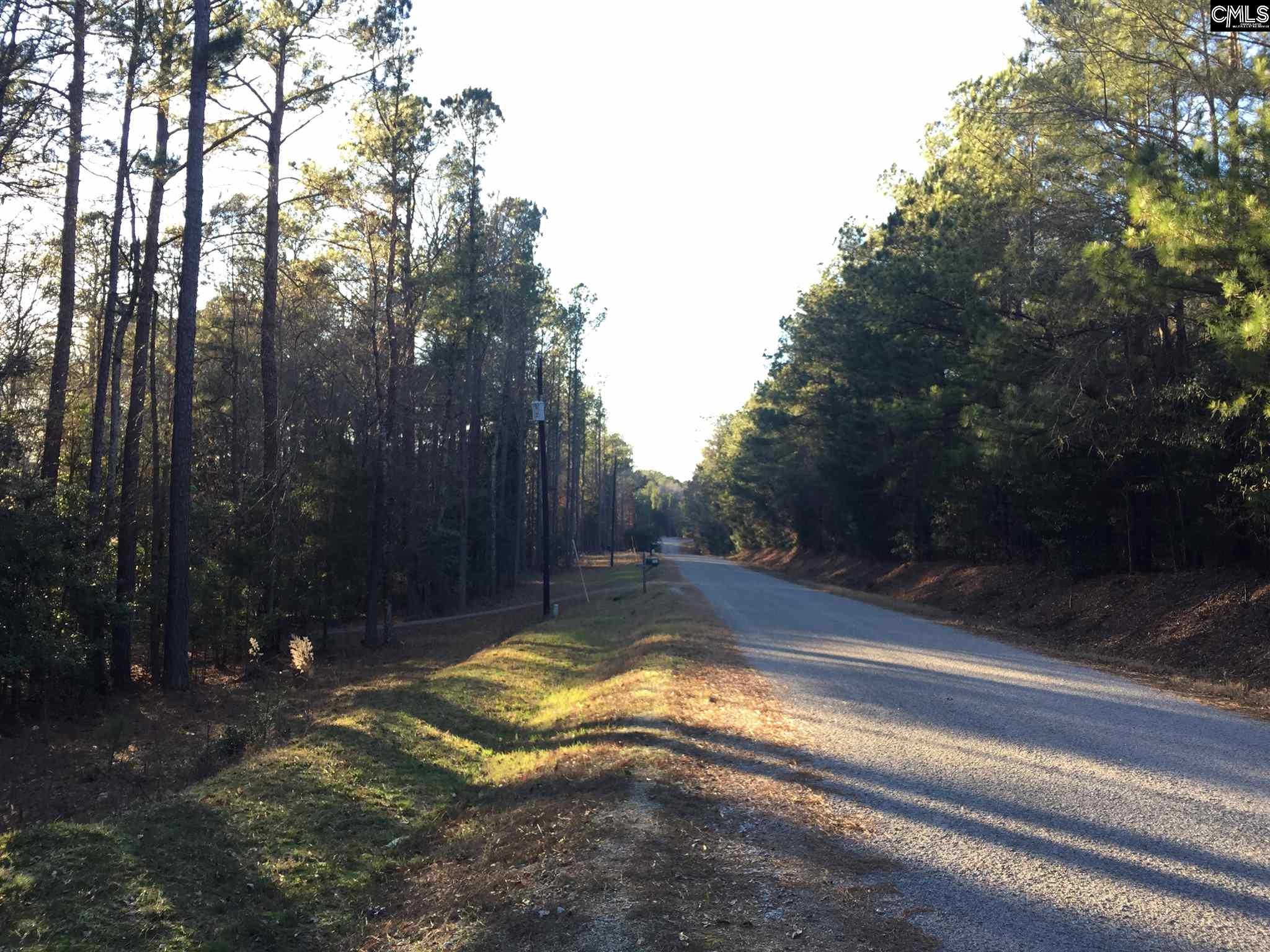 Derrick Blythewood, SC 29016