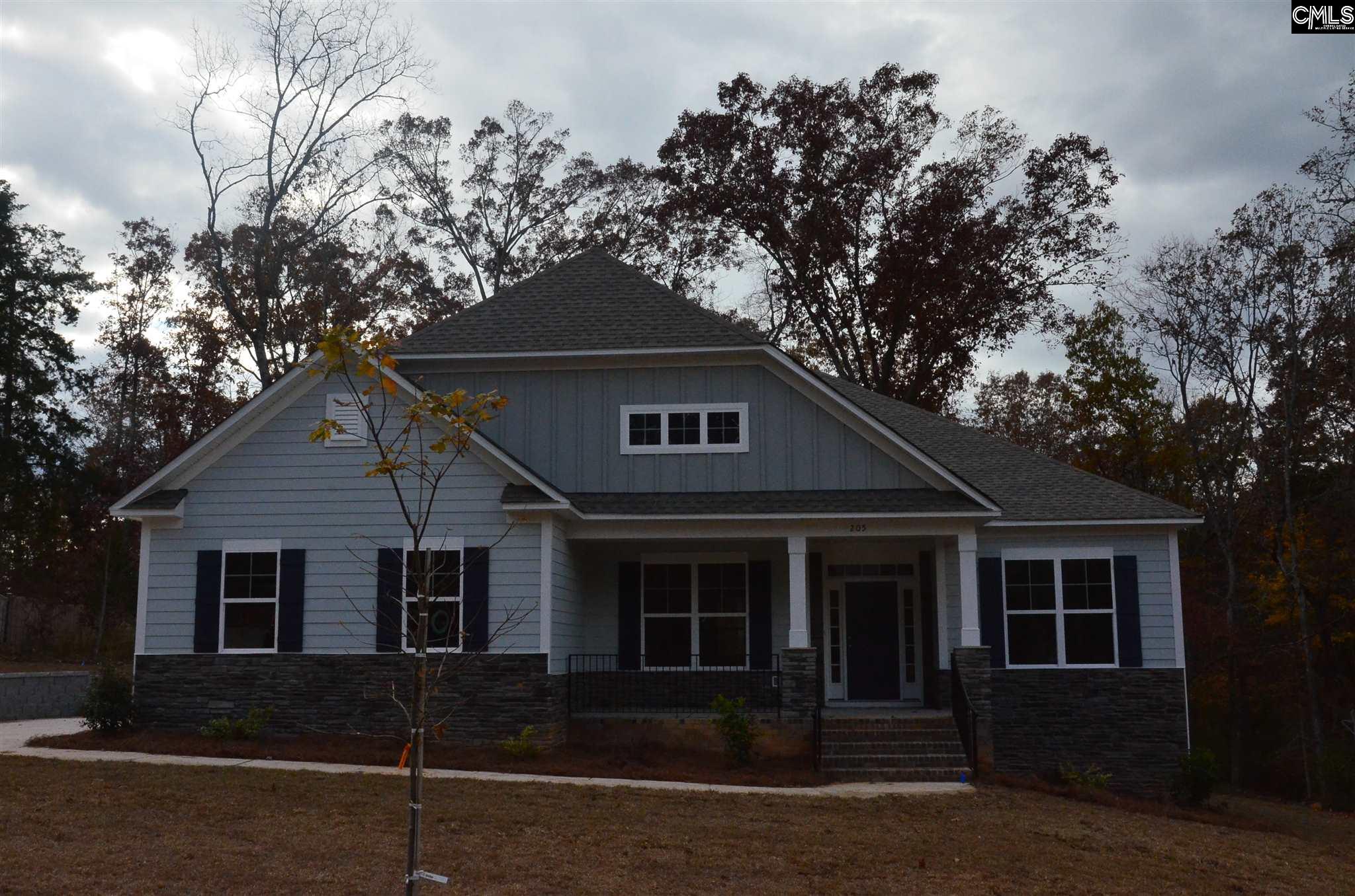 205 Limestone Chapin, SC 29036