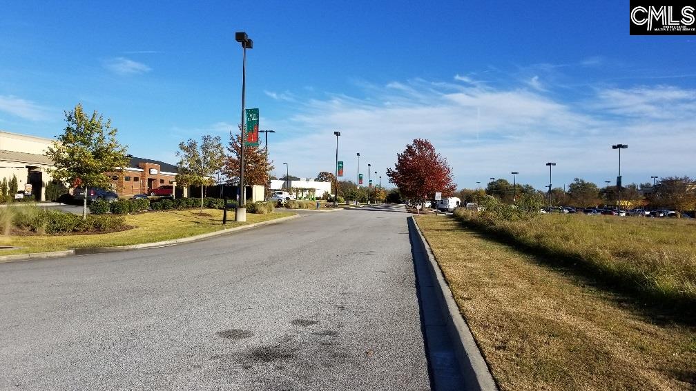 Lot 1 Bo-Tire Way / Hwy 378 Lexington, SC 29072