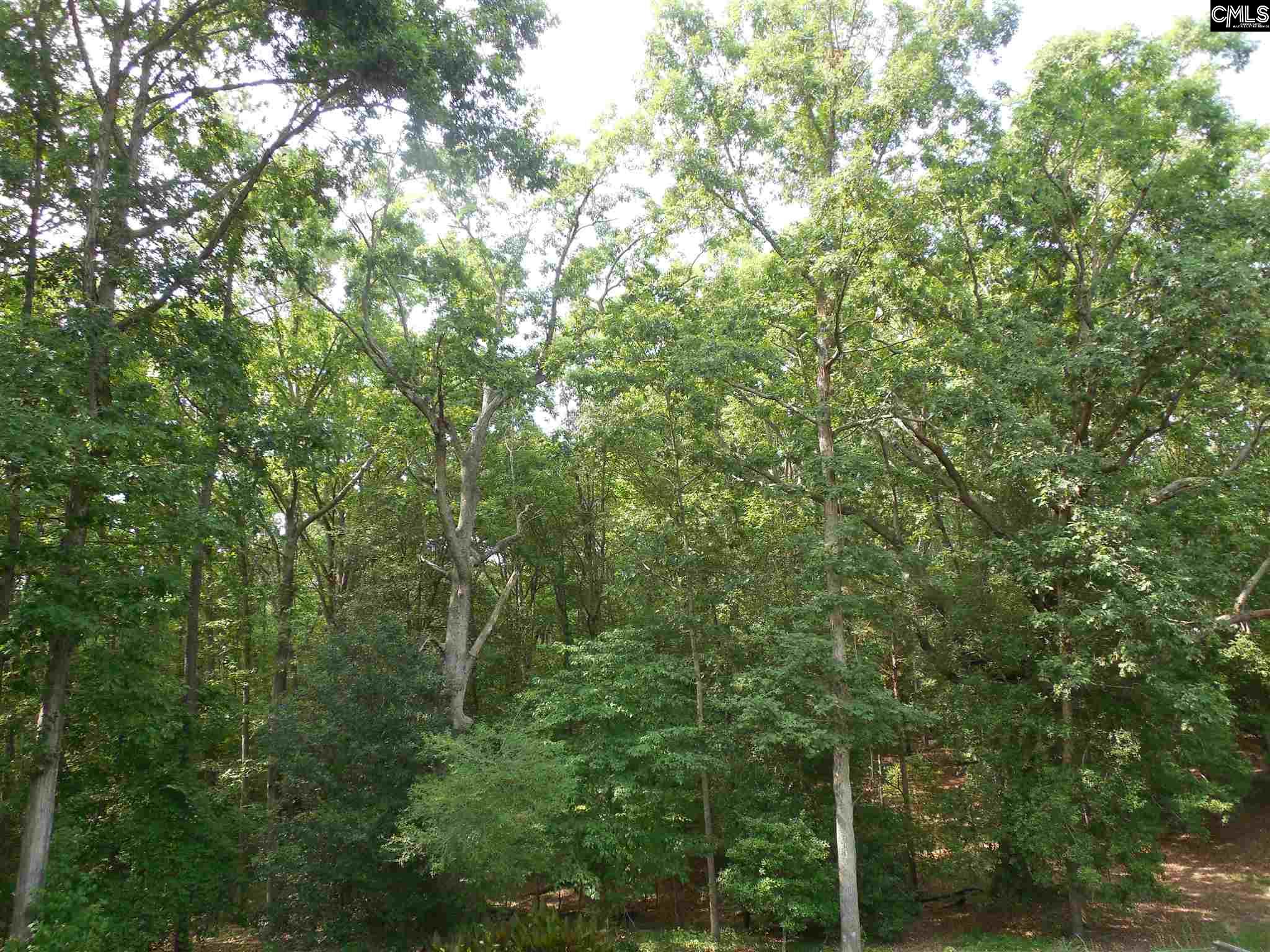 Primrose Chapin, SC 29036
